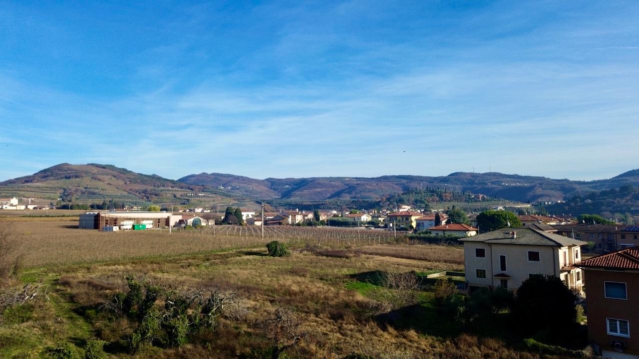 Lotto edificabile a Illasi